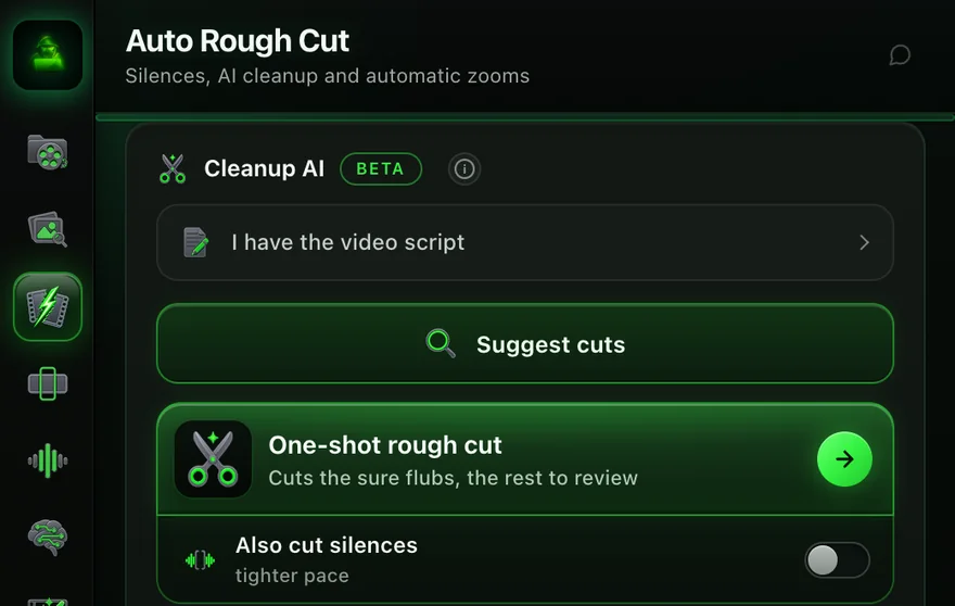 Cleanup AI in the Auto Rough Cut tab, the real panel with demo data: Suggest cuts and One-shot rough cut.