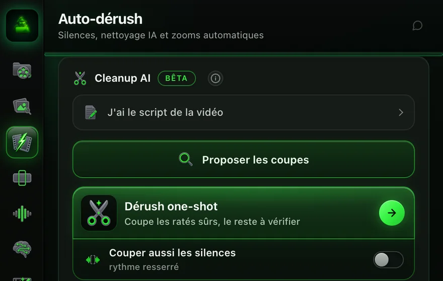 Cleanup AI dans l'onglet Auto-dérush, le vrai panneau avec des données de démonstration : Proposer les coupes et Dérush one-shot.